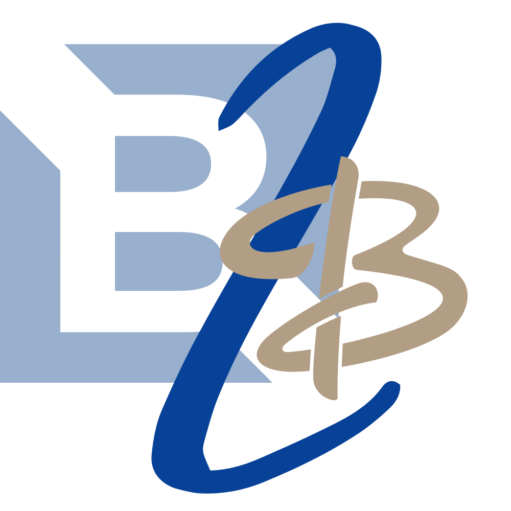 B2BNic.com